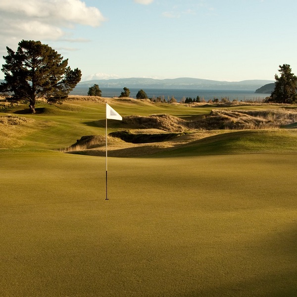 “ChatGPT for golf”: Golf.ai launches with Emajin to bring AI to the fairway – and the boardroom