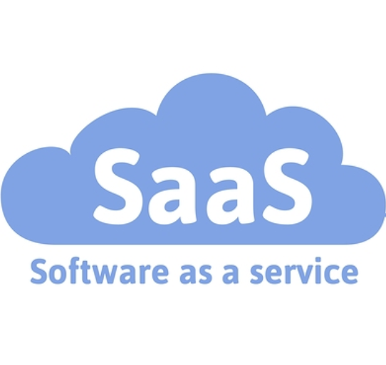 Beware of the ‘AI wrapper’ masquerading as a SaaS